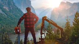 Lumberjack's Dynasty
