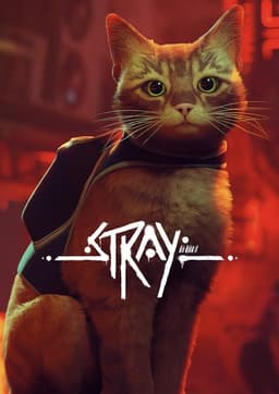 Stray