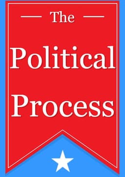The Political Process